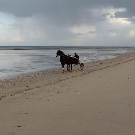 Gites "Plage" Ou "Pieds Dans L'Eau" En Front De Mer A Asnelles , 3Km D'Arromanches, 10Km De Bayeux المظهر الخارجي الصورة